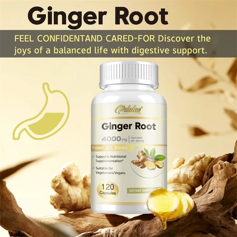 Ginger Root Capsules - Promote - مراجعة Nutrition And Exercise وسعره