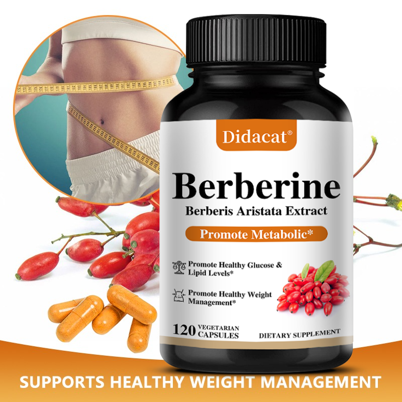 Berberine HCL Capsules 500mg,  - مراجعة Berberine Hcl Capsule وسعره