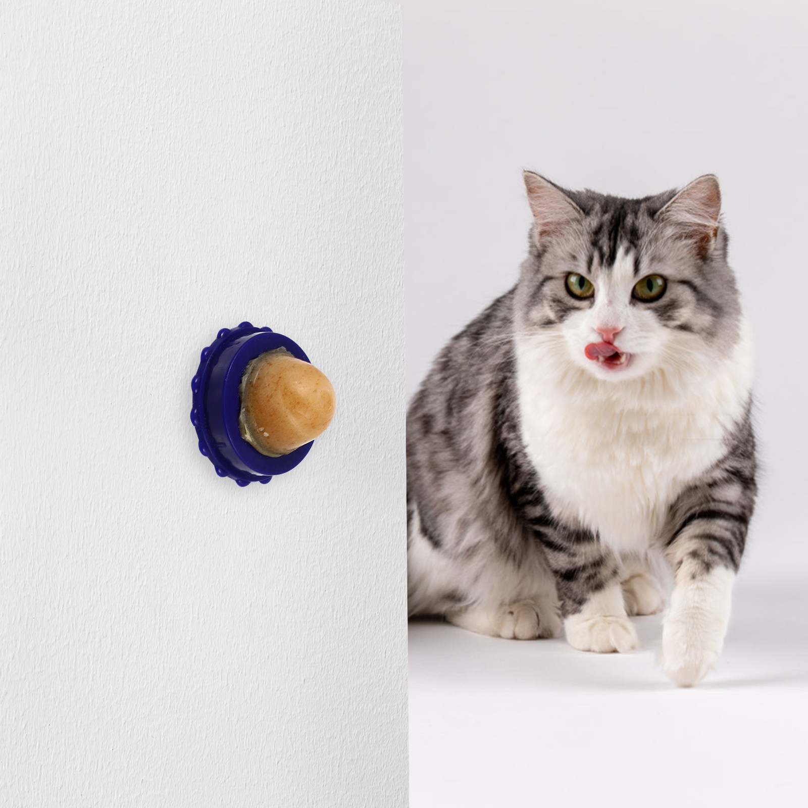 4Pcs Catnip Healthy Lickable C - مراجعة Nutrition And Exercise وسعره