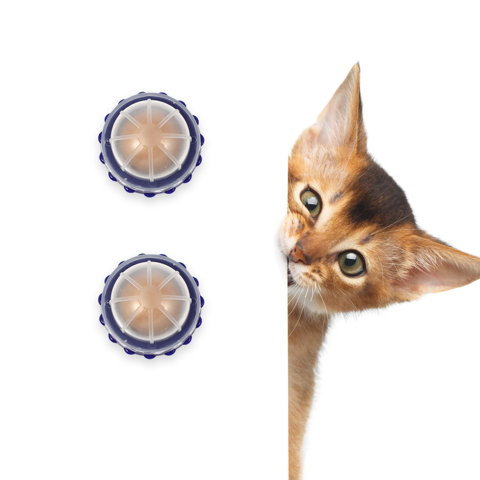 4Pcs Catnip Healthy Lickable C - مراجعة Nutrition And Exercise وسعره
