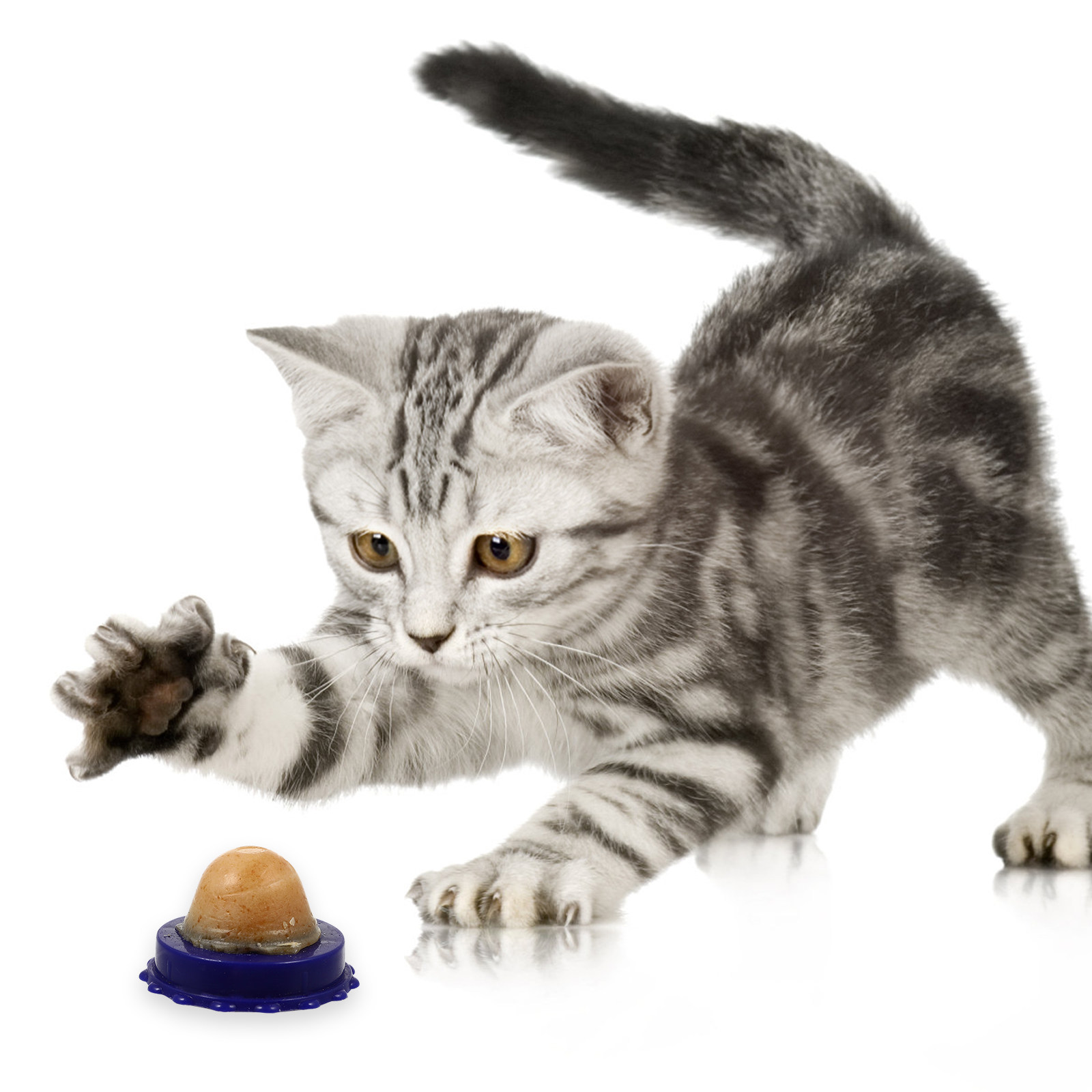 4Pcs Catnip Healthy Lickable C - مراجعة Nutrition And Exercise وسعره