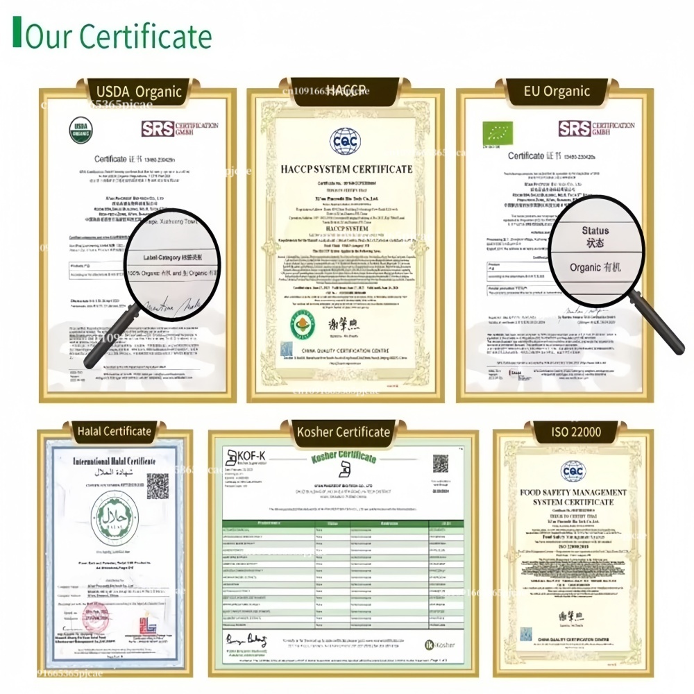 99% Purity NAC Powder (N-acety - مراجعة Nac N Acetyl Cysteine وسعره
