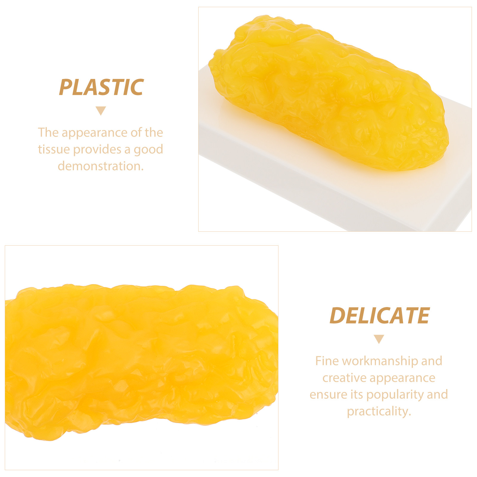 Human Body Fat Pound Plastic F - مراجعة Fitness With Nutrition وسعره