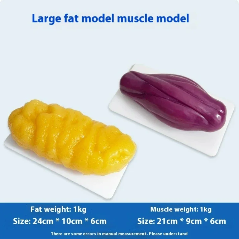 Human Muscle and Fat Replicas  - مراجعة Nutrition For Health Fitness & Sport Melvin Williams وسعره