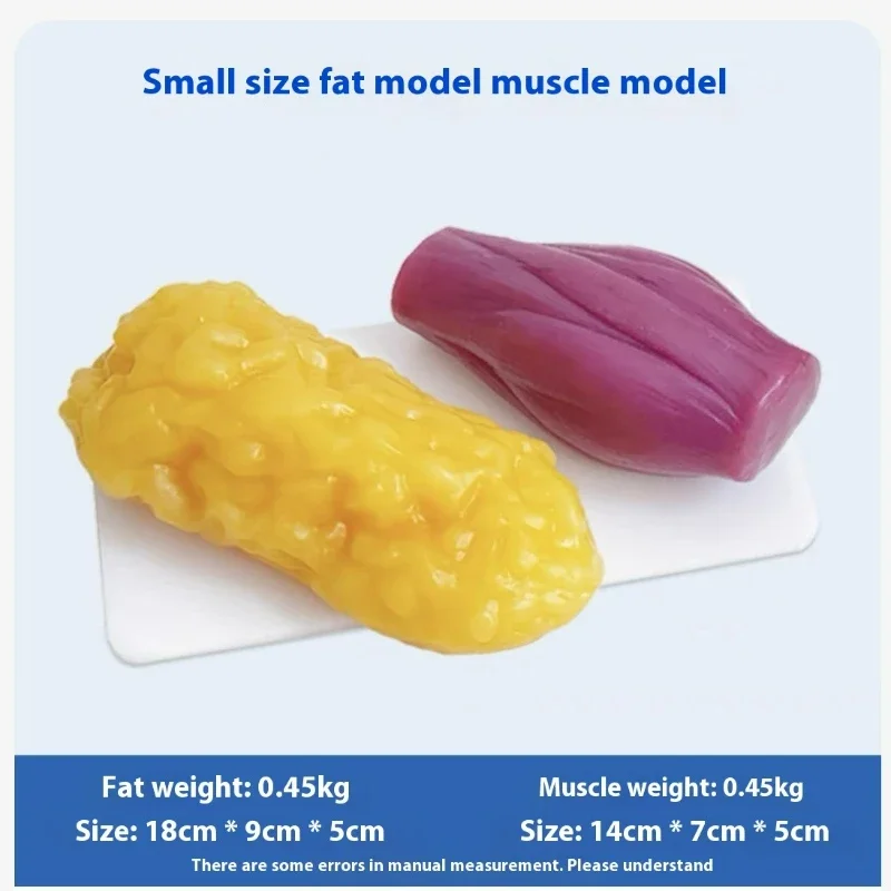 Human Muscle and Fat Replicas  - مراجعة Nutrition For Health Fitness & Sport Melvin Williams وسعره