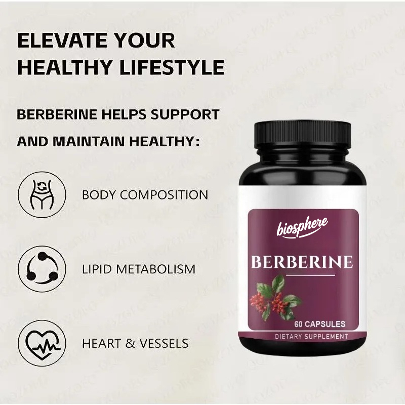 Berberine Supplement-60 vegeta - مراجعة Berberine Hcl Capsule وسعره