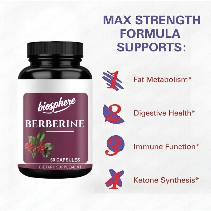 Berberine Supplement-60 vegeta - مراجعة Berberine Hcl Capsule وسعره